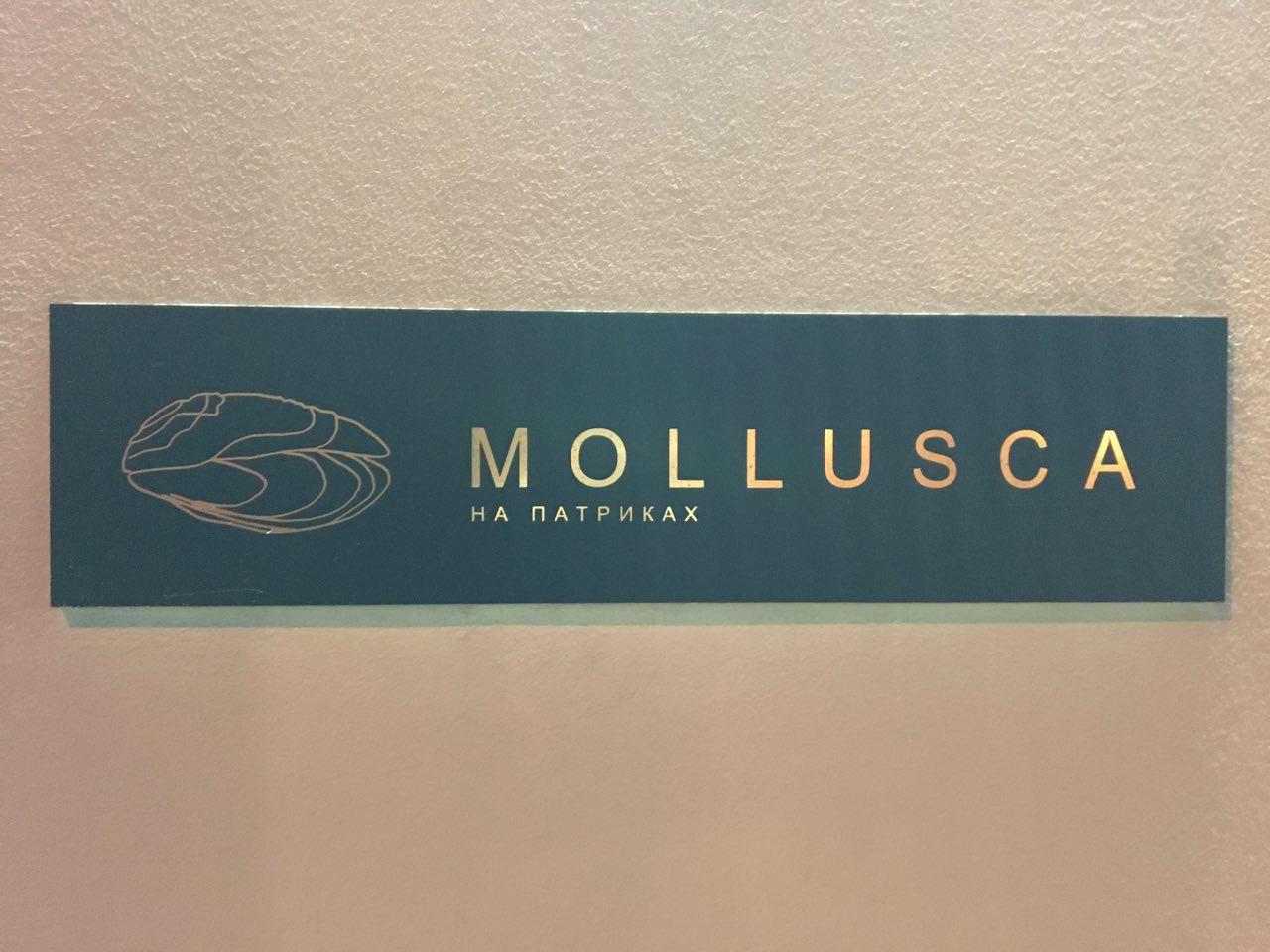 Mollusca на Патриках